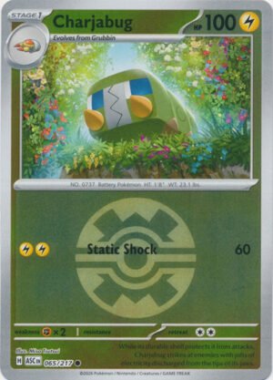 ME Ascended Heroes 065/217 Charjabug (Reverse Holo BALL SYMBOL)