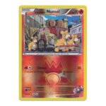 XY Double Crisis 1/34 Team Magma's Numel (Reverse Holo)