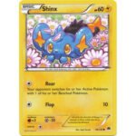 XY BREAKpoint 44/122 Shinx