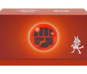 (SIMPLIFIED CHINESE) Radiant Energy Gift Box - Fighting