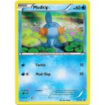 X&Y Promo XY38 Mudkip