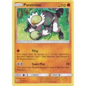 Sun and Moon (Base Set) 73/149 Passimian