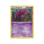 XY Base Set 53/146 Scolipede