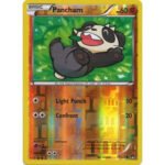 XY BREAKpoint 71/122 Pancham (Reverse Holo)