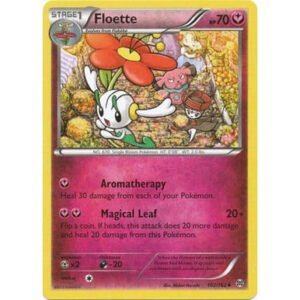 XY Break Through 102/162 Floette