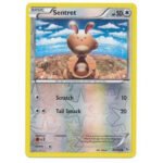 XY Flashfire 81/106 Sentret (Reverse Holo)