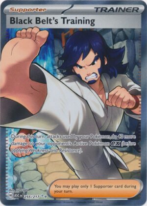 ME Ascended Heroes 255/217 Black Belt's Training (Full Art)
