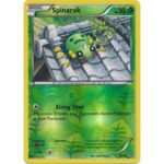 XY Ancient Origins 005/98 Spinarak (Reverse Holo)