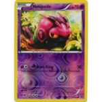 XY Base Set 51/146 Venipede (Reverse Holo)