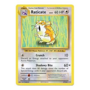 XY Evolutions 67/108 Raticate