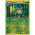 XY Base Set 11/146 Simisage (Reverse Holo)