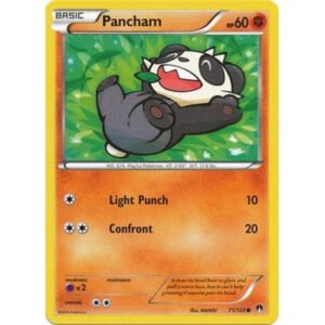 XY BREAKpoint 71/122 Pancham