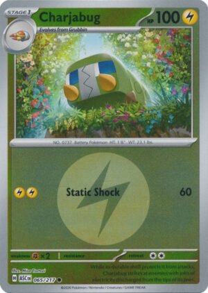 ME Ascended Heroes 065/217 Charjabug (Reverse Holo ENERGY SYMBOL)