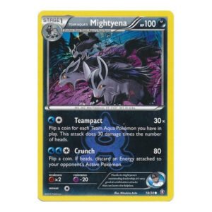 XY Double Crisis 18/34 Team Aqua's Mightyena