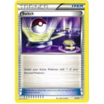 Trainer Kit: Noivern Deck 29/30 Switch