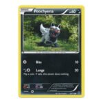 XY Phantom Forces 53/119 Poochyena