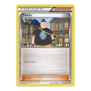 XY Phantom Forces 107/119 Tierno