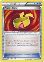 XY Base Set 121/146 Muscle Band