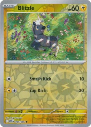SV White Flare 031/086 Blitzle (Reverse Holo)