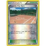 Boundaries Crossed 127/149 Aspertia City Gym (Reverse Holo)