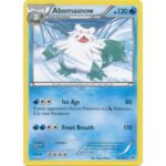XY Break Through 040/162 Abomasnow