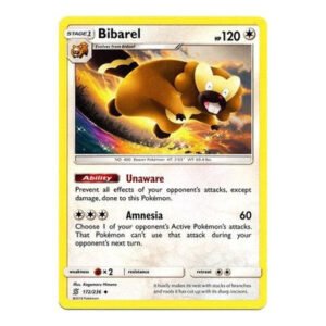 SM Unified Minds 172/236 Bibarel