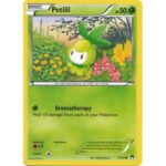 XY BREAKpoint 7/122 Petilil