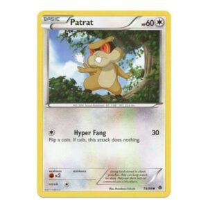 BW Emerging Powers 78/98 Patrat