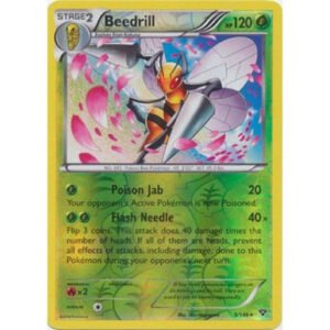 XY Base Set 5/146 Beedrill (Reverse Holo)