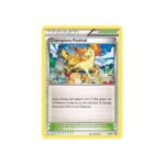 X&Y Promo XY91 Champions Festival