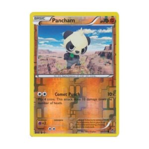 XY Furious Fists 60/111 Pancham (Reverse Holo)