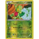 Plasma Freeze 6/116 Treecko (Reverse Holo)